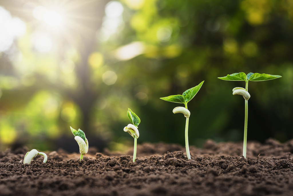 Sustainable Sourcing