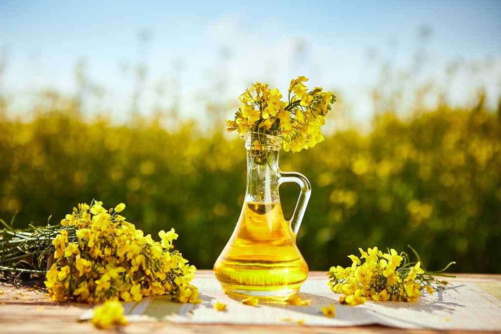 Rapeseed Oil | Oleon